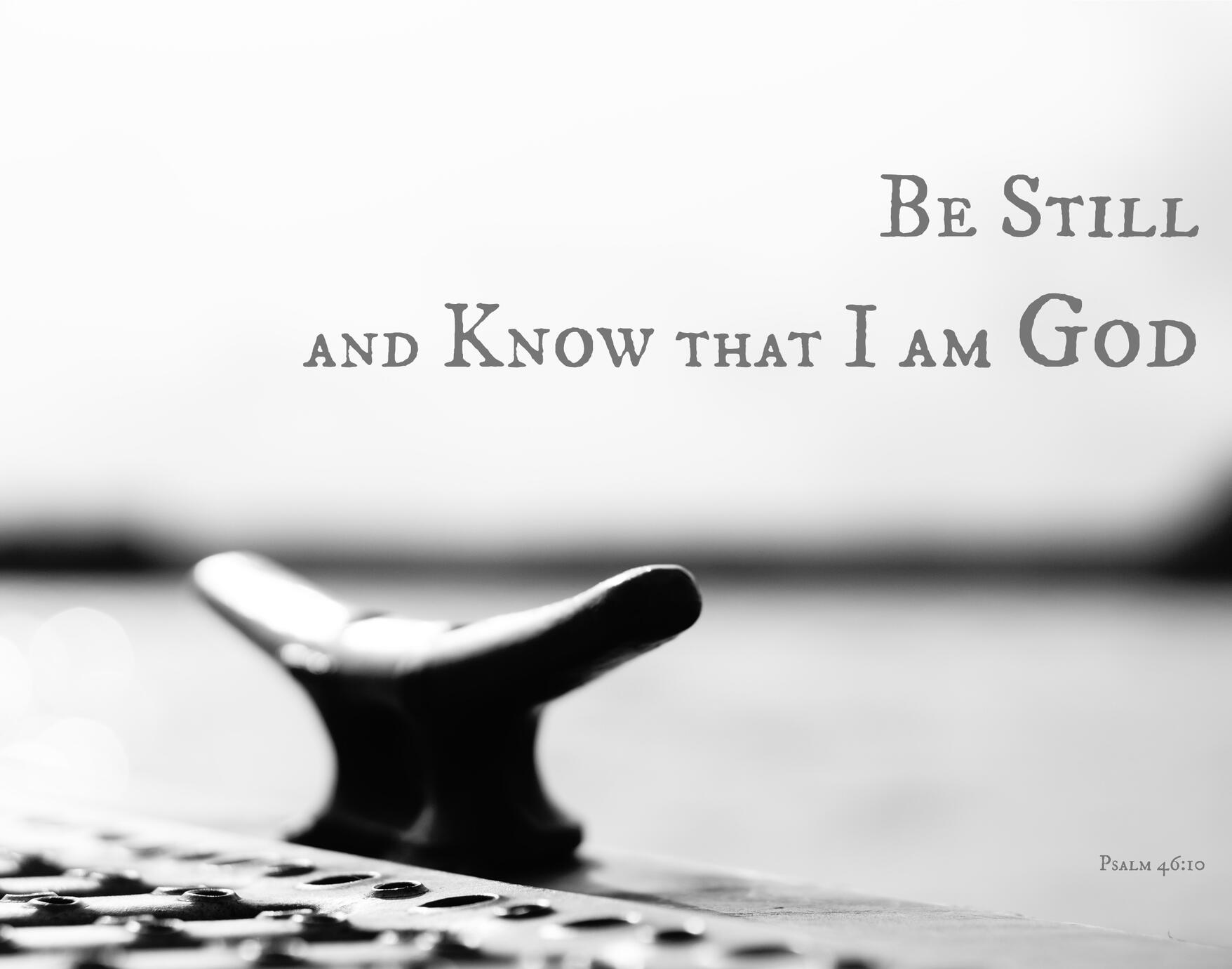 The Words Collection