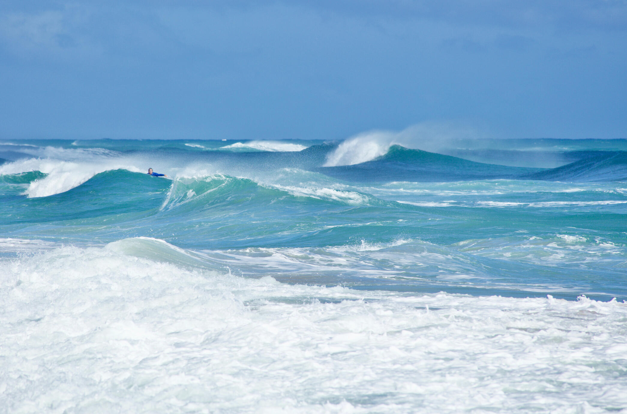 The Ocean Collection