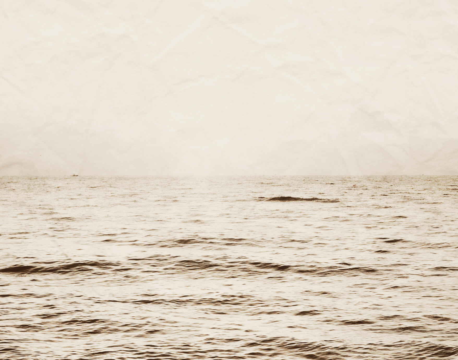 The Cinematic Collection