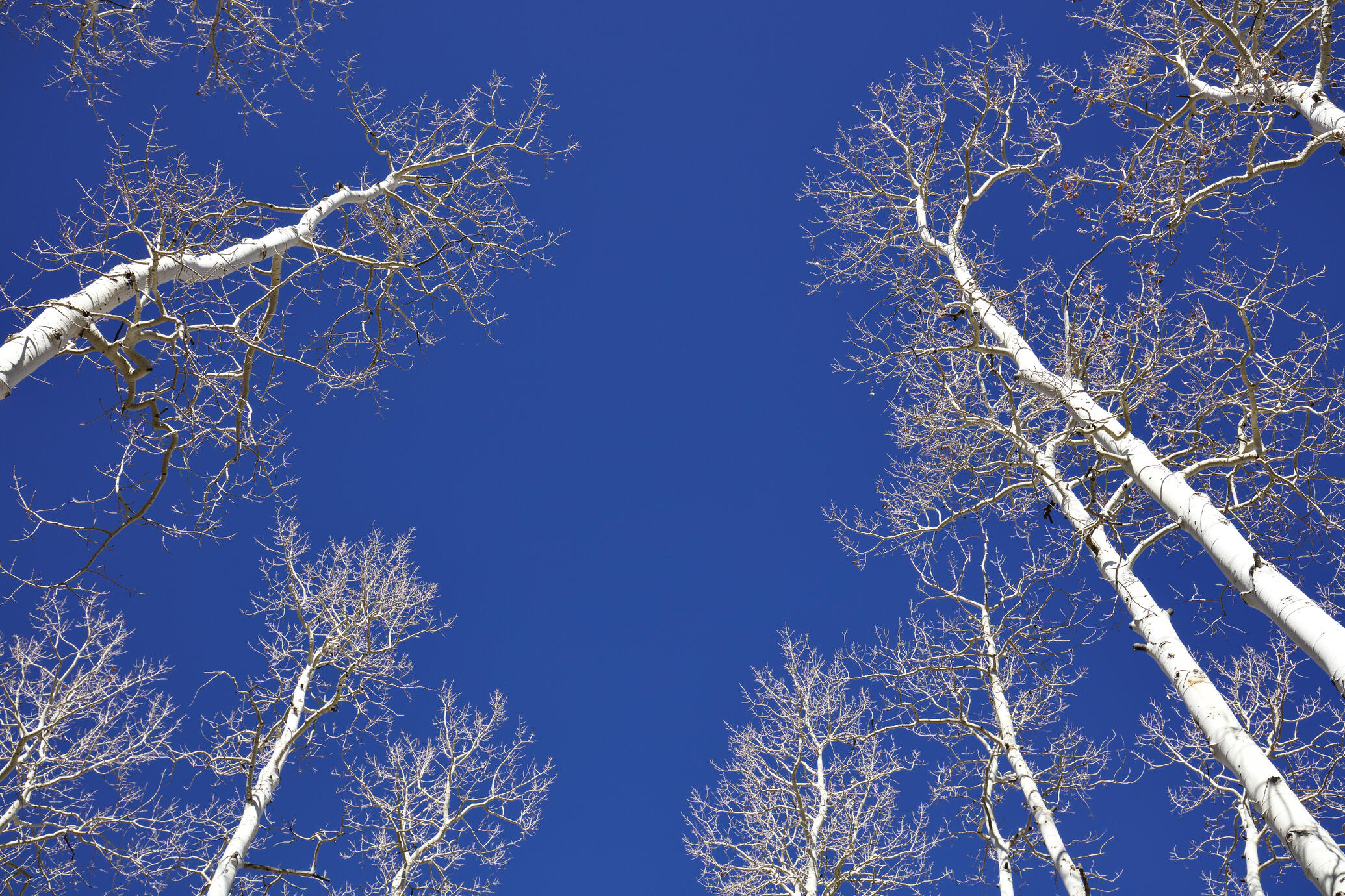 The Sacred Spaces Collection